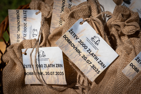 Dobrovnik - 2000 semen - ZETEV 2025-1184955